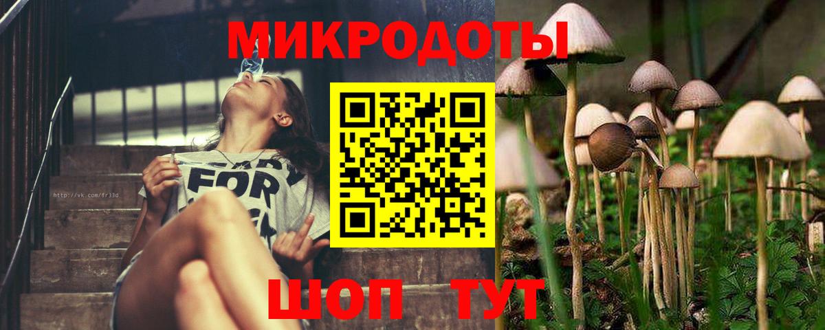 Псилоцибиновые грибы MAGIC MUSHROOMS  Вход с VPN  Киселёвск 